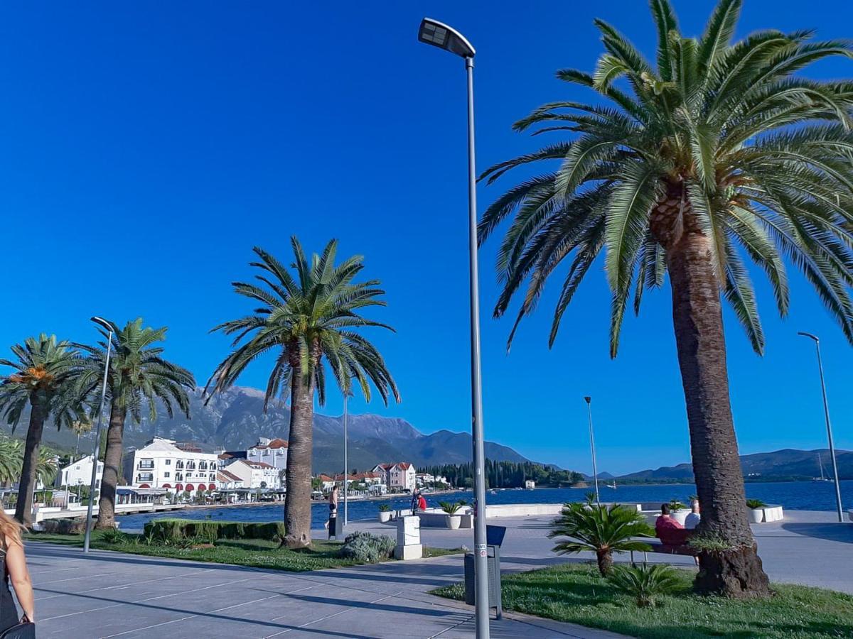 Adriabay Studio Tivat Kültér fotó