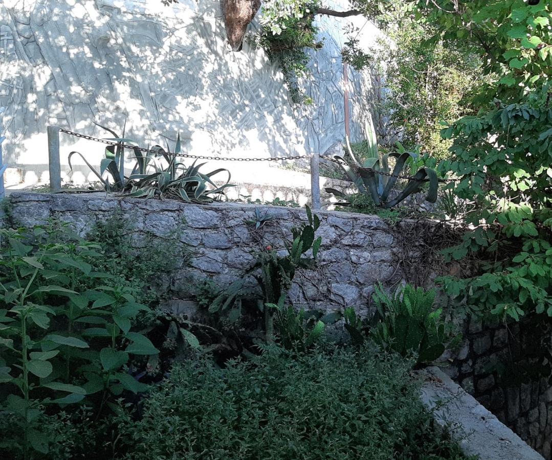 Adriabay Studio Tivat Kültér fotó